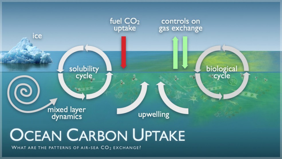 Carbon Sinks and Oceans What’s the Connection? Green Yatra